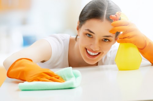 Professional move in cleaning for a Mayfair apartment interior