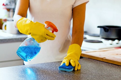 Regular cleaning for a Mayfair apartment interior