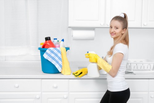 Professional carpet cleaning inspection and pre-treatment check