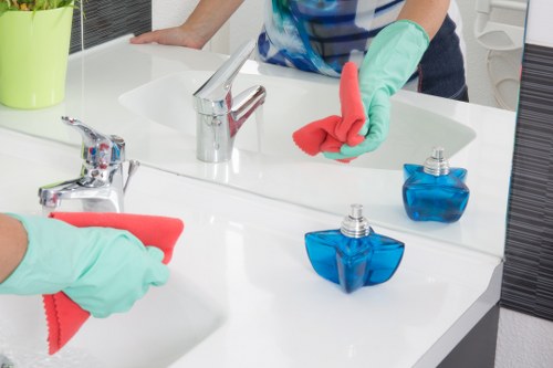 Careful bathroom deep cleaning in a Mayfair property