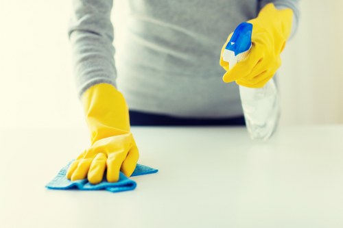 Professional deep cleaning in a Mayfair townhouse bedroom