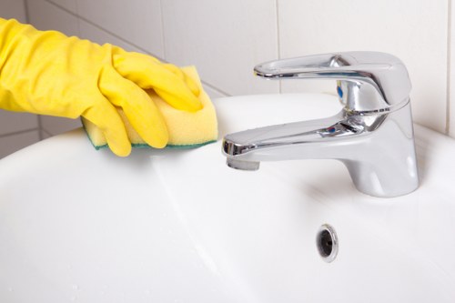 Eco-conscious waste handling during a carpet cleaning service