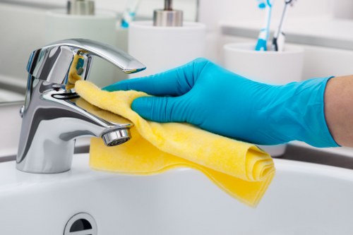 Professional cleaner working in a Mayfair property
