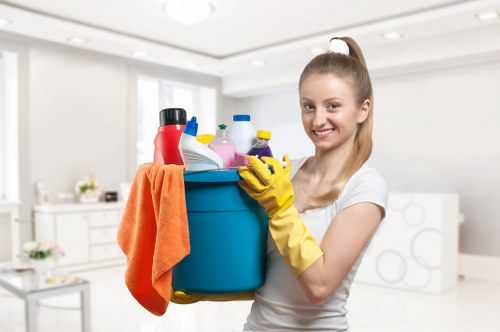 Mattress stain removal and hygiene cleaning for a Mayfair home