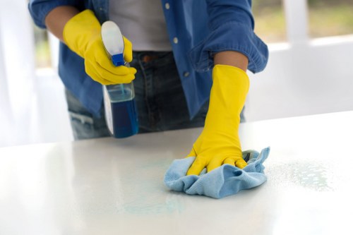 Refined carpet maintenance service for Mayfair properties