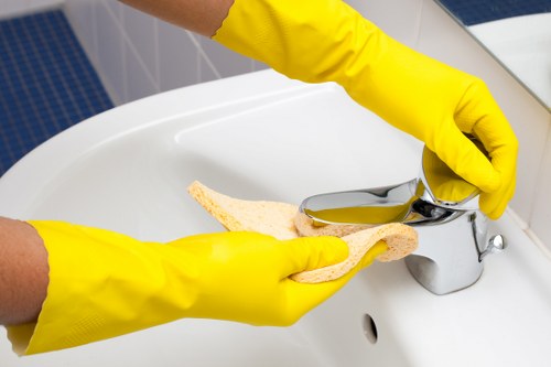 Cleaning tasks for a luxury home in Mayfair