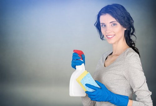 Professional cleaners maintaining a Mayfair office kitchen and shared space