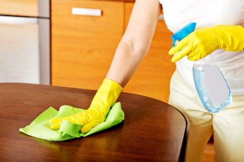Cleaner working in a Mayfair residence near Green Park with discreet service